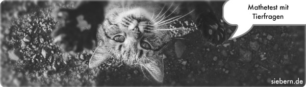 Mathe Test Siebern