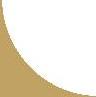 back untenlinks.jpg (1024 Byte)
