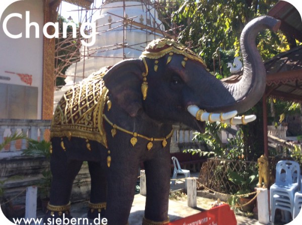 Chang der Elefant